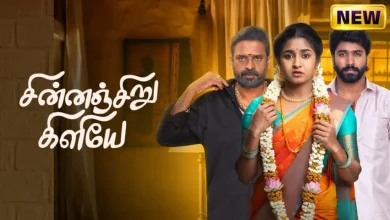 Chinna Siru Kiliye